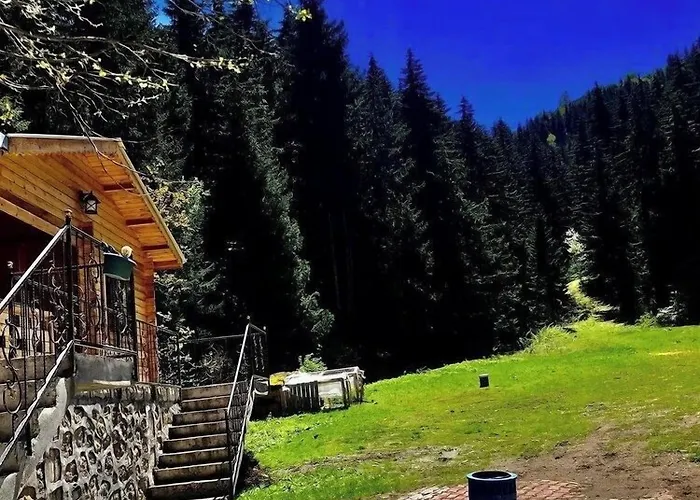 Hotel Green Valley Savsat