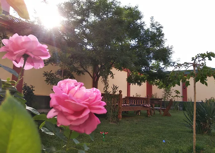 Chinor Garden Hotel - Free Airport Pick-Up Yandex Go