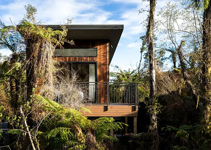 Rainforest Deluxe