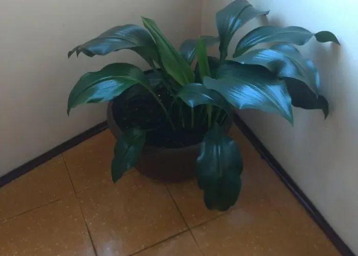 Hotel Do Oeste