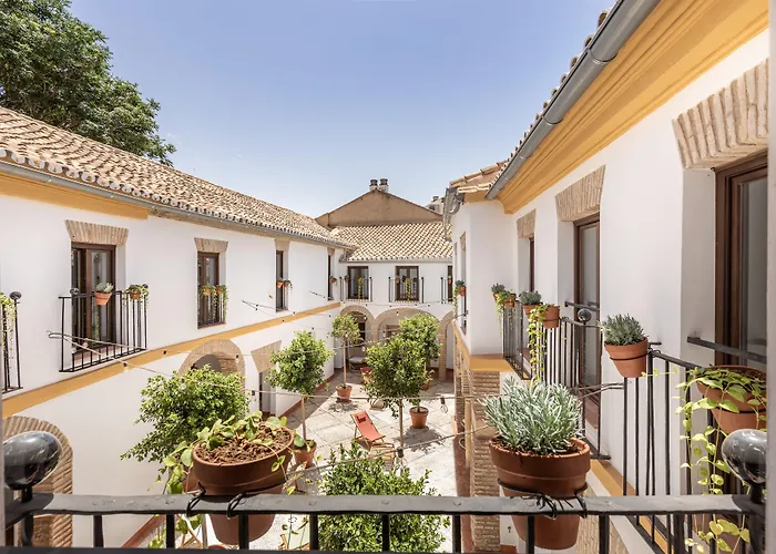 Cats Hostel Cordoba