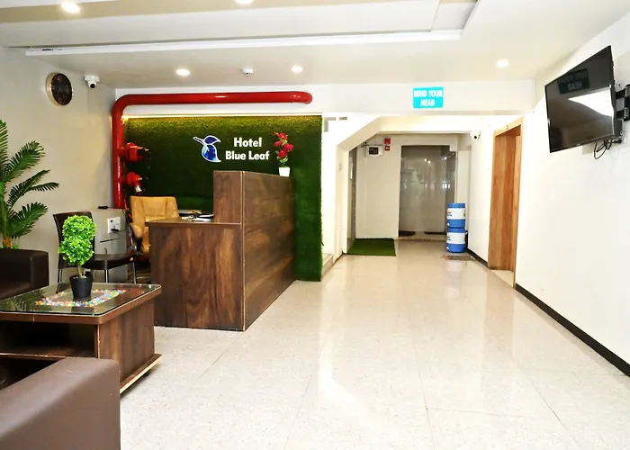 Hotel Blue Leaf