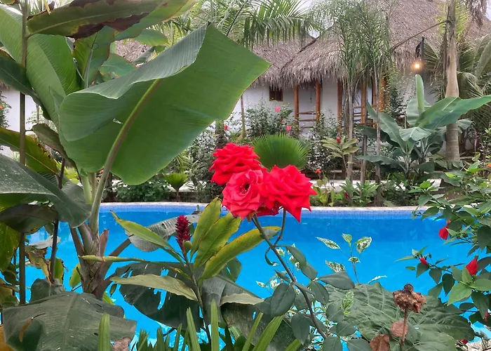 Hotel La Costa Internacional