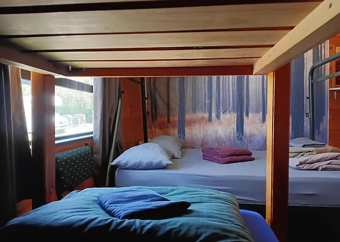Junohall Backpackers