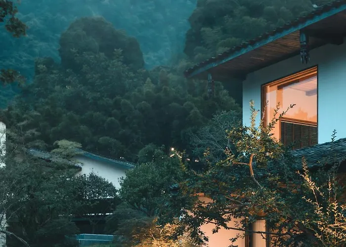 Yunxi Chanyi Forest Soup Spring Resort Hotel ,Provides Pick-Up Service And Tea Leaves,Drink Chinese Wild Tea Leaves