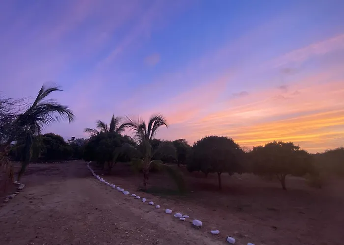 Coccoloba Beach Hostel
