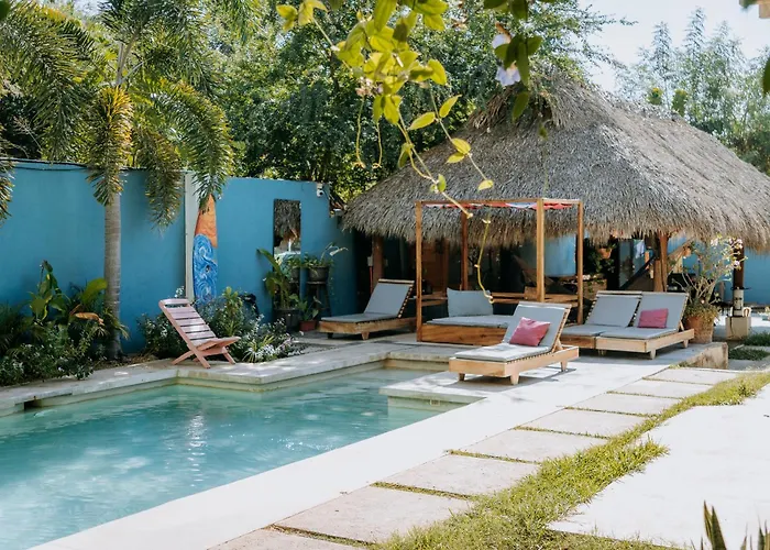 Surfnest Hostel