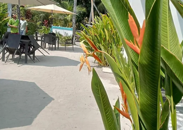 Fulidhoo Hathaa Retreat