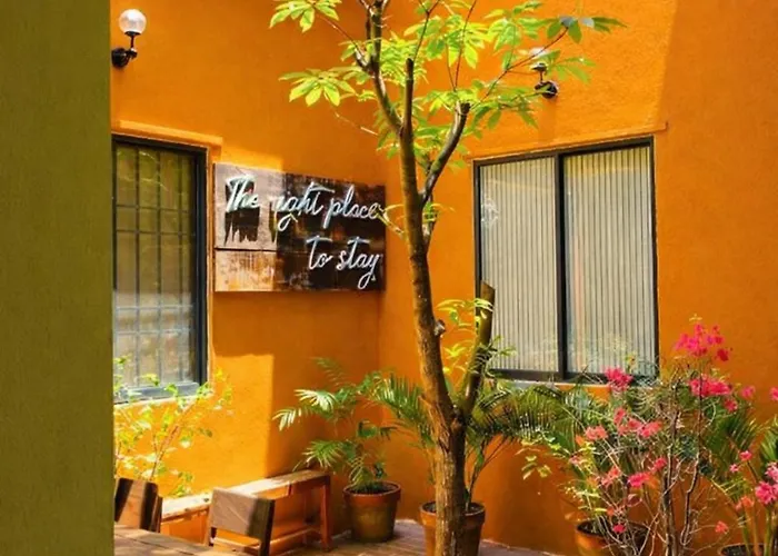 Chi Hieu Homestay