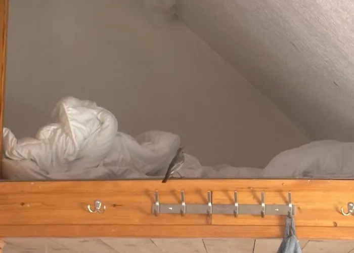 Sky Harmony Penthouse Mit Wasserbett, Jacuzzi Und Grill