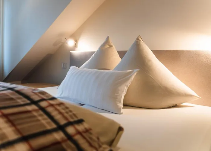 Hotel Villa Will