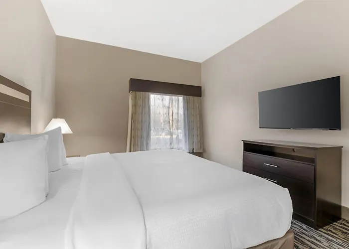 Best Western Plus Mcdonough Inn & Suites