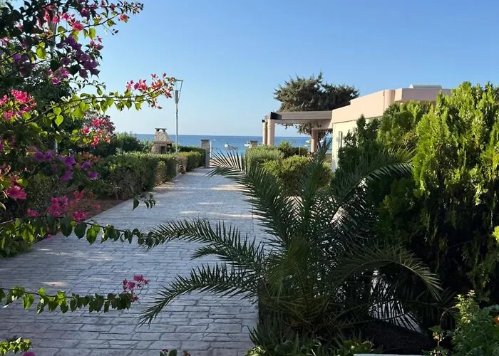 Amaryllis Front Beach Hotel