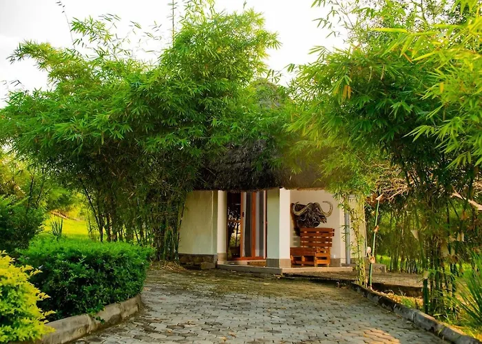 Natural Bamboo Lodge On River Nile Banks In Murchison Falls
