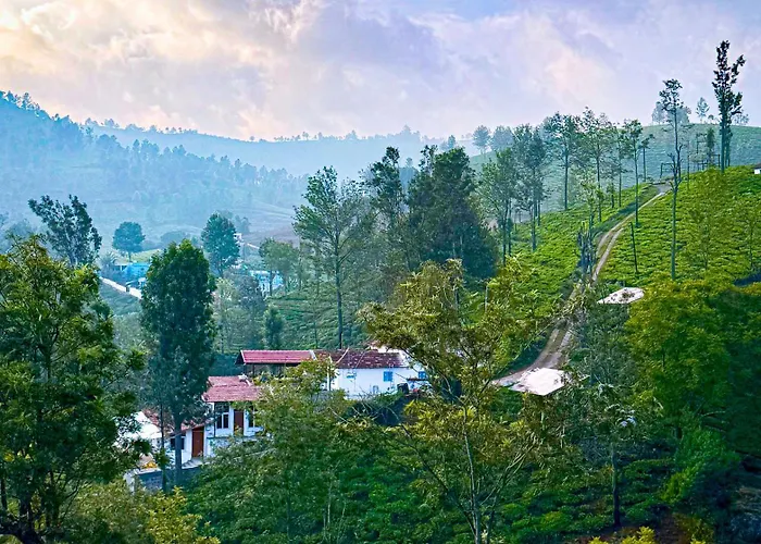 Mad & Nomad Backpackers Hostel