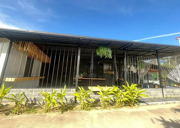 Lazy Lizard Hostel