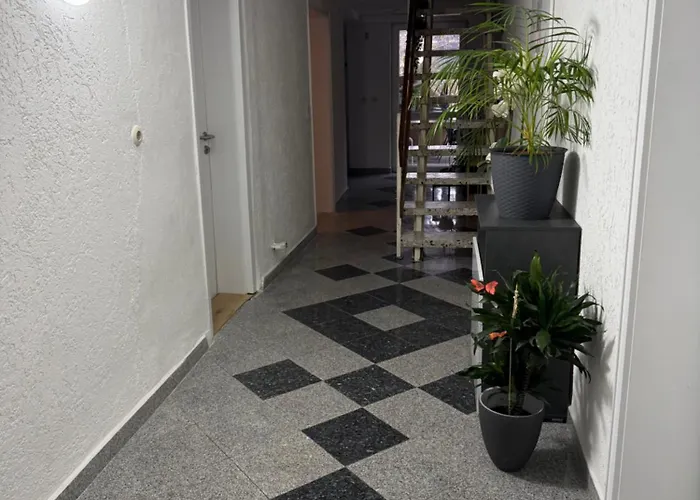 Nest-Unterkunft