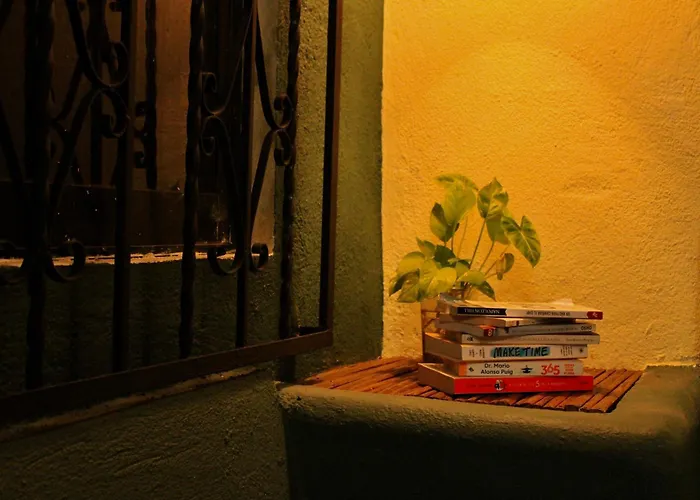 Olivo Hostel, Punta Zicatela