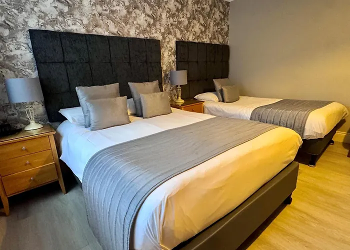 Camelia Hotel