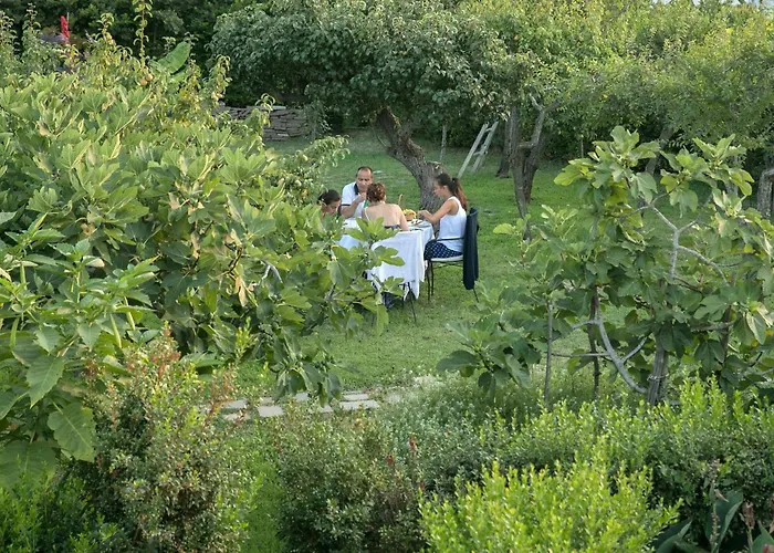 Hotel Al Mulino - Mediterranean Garden Retreat in AnaCapri