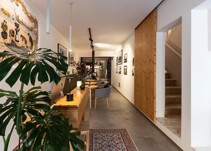 O Violas - Art Coffee & Guesthouse