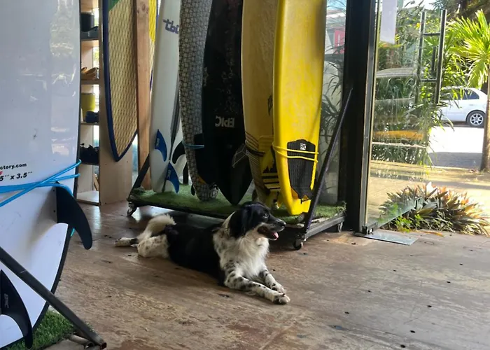 Casa Bohio Surf