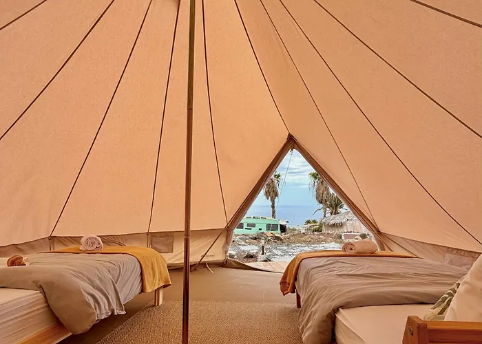 The Tree House Surf Camp