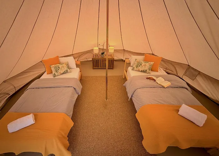 The Tree House Surf Camp
