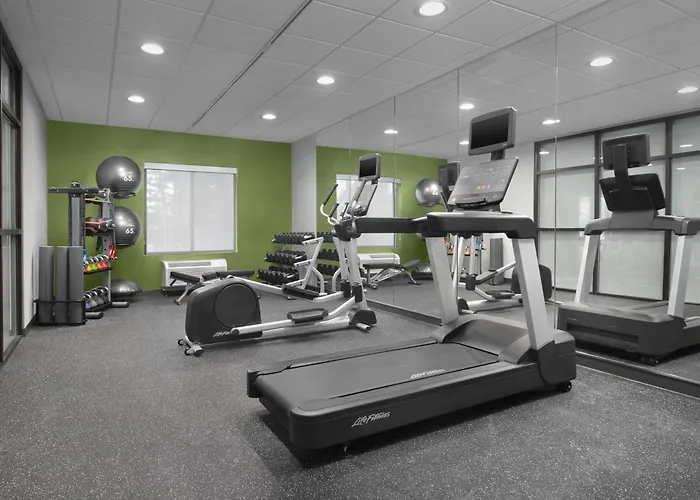 Spark By Hilton Vestal Binghamton University Area