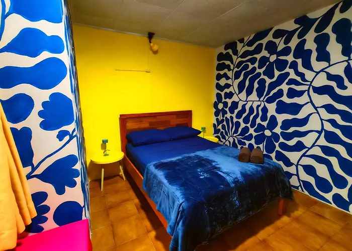 Chillout Hostel Barrio Escalante
