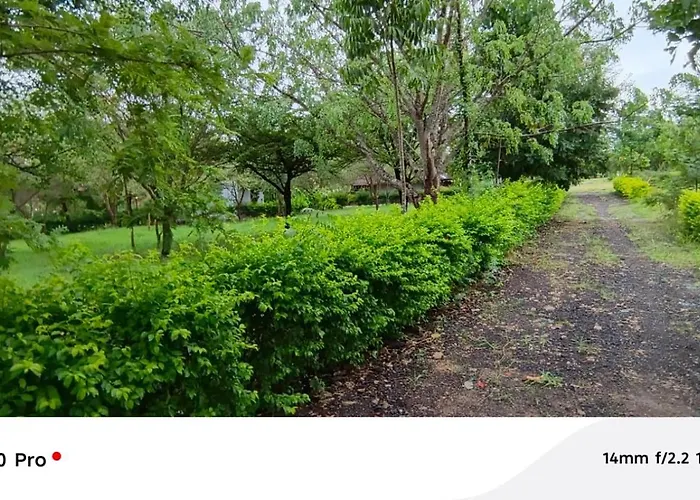 Limas Camp Mikumi
