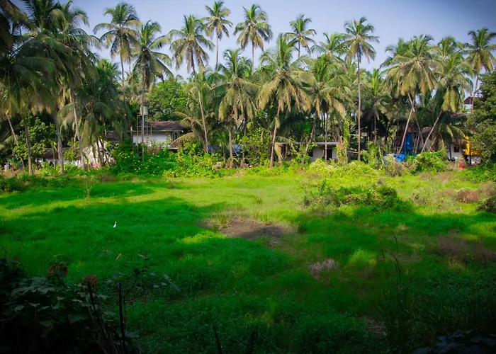 Resort Zulley