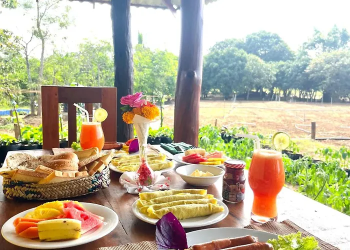 Green Heaven Sigiriya