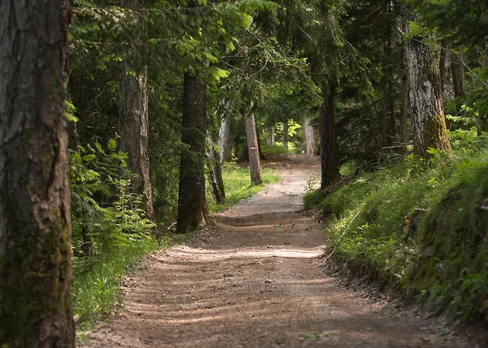 Berggasthof Messnerhof