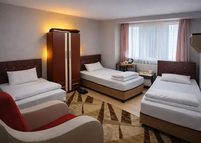 Ari Otel