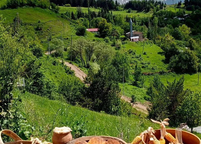 Balci Konukevi