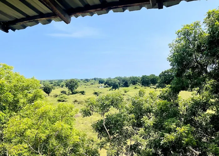 Green Tree House Yala