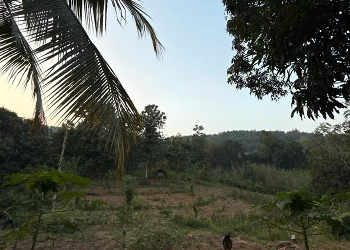 Village Home