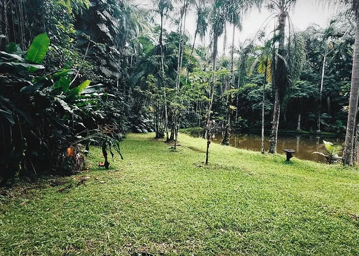 Tenda da Mata