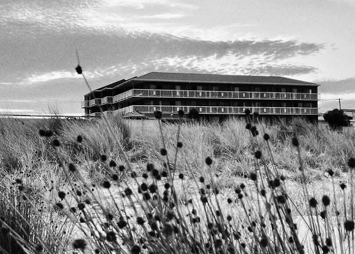 The Waterloo Hotel