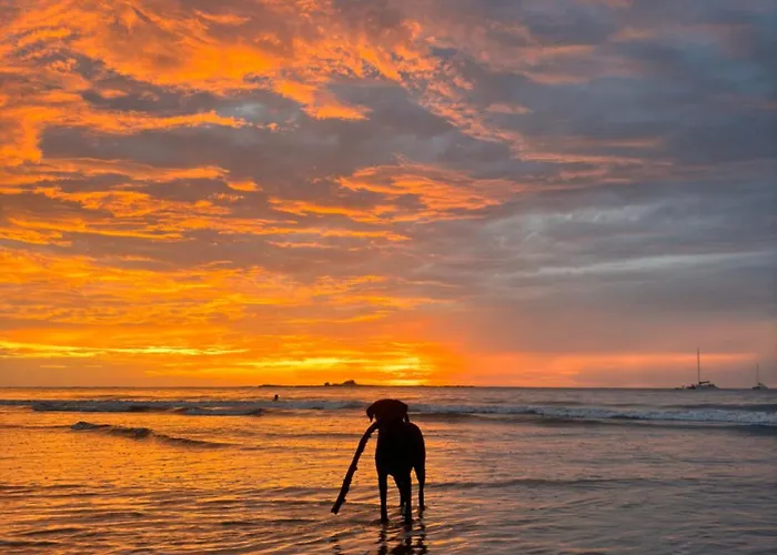 Tamarindo Backpackers