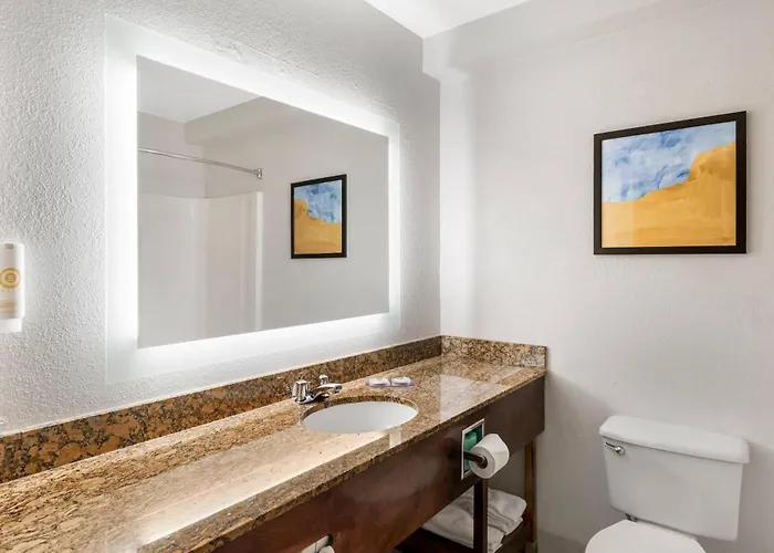Comfort Inn & Suites Suwanee - Sugarloaf