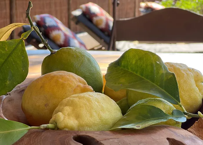 Boutique Finca Stay In Nature