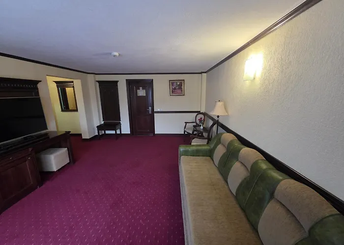 Hotel Trei Brazi