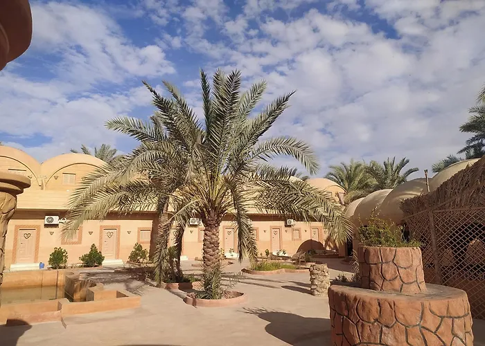 Nour El Wadi