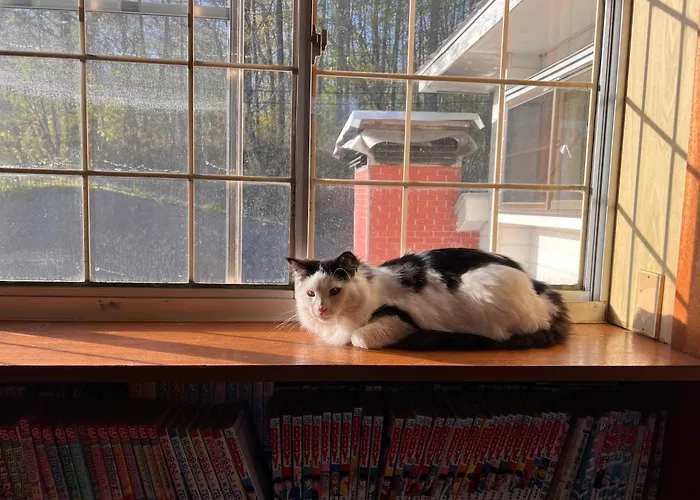 Guesthouse Paw