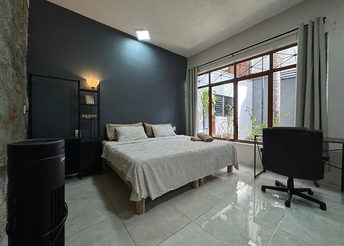 Leveli Coliving & Hostel Oaxaca