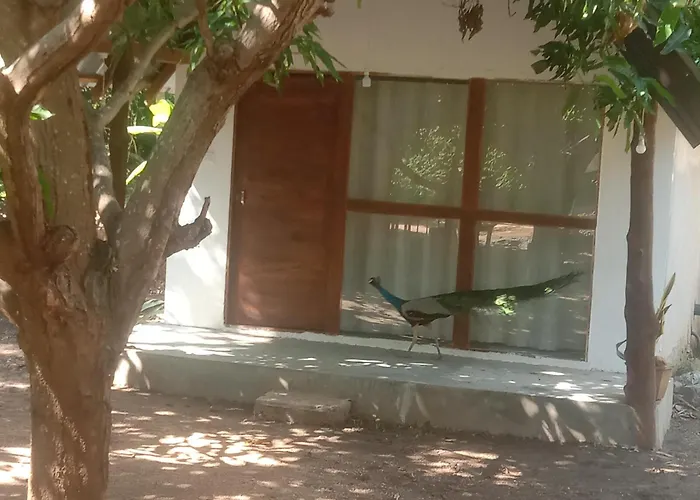 Rangiri Villa Sigiriya