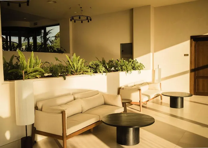 Hotel Punta Bermeja Premium