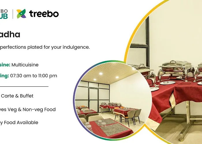 Treebo Sairadha
